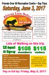 tall african lion&nbsp;safari